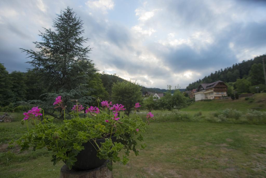 Enz Residenz Hotel Enzklösterle Exterior foto
